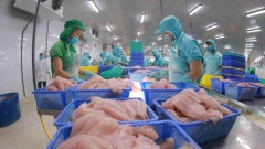 CPTPP holds potential for Vietnam’s tra fish exports