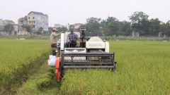 Hanoi seeks ways to boost agricultural exports