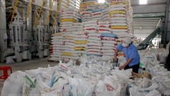 Vietnamese rice exporters expect higher prices