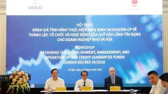 Clarifying shortcomings in the implementation of credit guarantees for SMEs