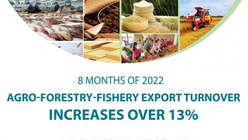 Agro-forestry-fishery export turnover increases over 13%