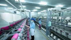 Garment sector's local procurement rate up but challenges ahead