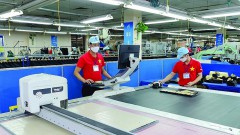 Vietnam firmly integrates into the international economy