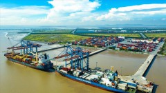 Export growth maintained despite difficulties