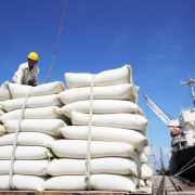 Rice prices under upward pressure