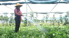 Environment needed to promote impact business