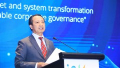 Accelerating Mindset and System Transformation to Optimize Sustainable Corporate Governance