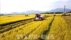 Agricultural sector strives to surpass targets