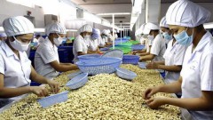Exporters urged to improve quality of farm produce to compete globally