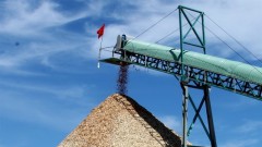 Wood pellet industry needs sustainable raw material areas for export expansion