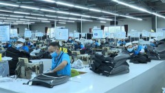 Management level of Vietnamese enterprises still low: experts