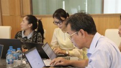 Market tools help businesses export: experts