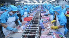 Tra fish exports to ASEAN growing strongly