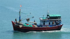 Coastal localities see better results in fighting IUU