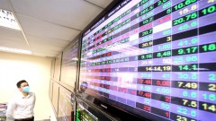 Foreign inflows influenced more by global trend