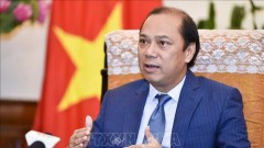 Vietnam a potential market in US businesses' eye: ambassador