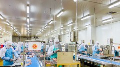 Vietnam to export first processed chicken lot to Japan