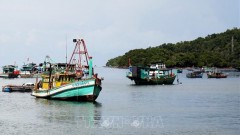 Fishery sector takes various measures to get EC yellow card removed