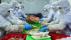 Enterprises accelerate production to reserve goods at the end of the year