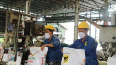 Fertiliser exports set new record