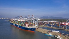 Shipping lines "encroach" to open a chain of "threats" to logistics businesses