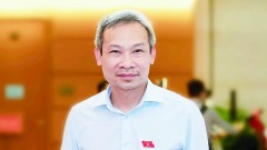 Mr. Phan Duc Hieu: Airport investment should not stop at "loss or profit"