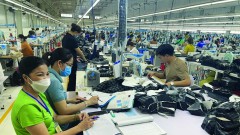 Take input for&nbsp;production to reduce import dependence