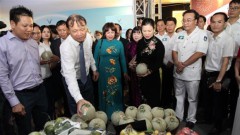More efforts to be made for larger coverage of Vietnamese products