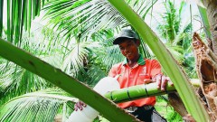 Export products from local resources