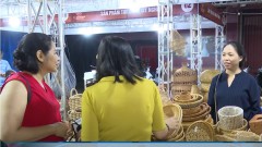 Handicraft businesses seek to develop domestic market