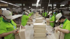 Vietnam, Austria look forwards to stronger economic ties