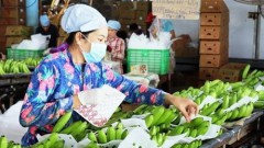 Opportunities for banana exports to China
