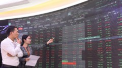 For capital market to work more productively