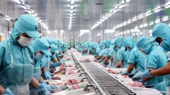 Vietnam’s seafood market share in Latin America increases thanks to CPTPP