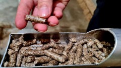 Wood sector to earn more on woodchips, pellets