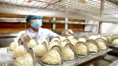 Việt Nam bird's nests to enter Chinese market through official channel