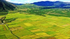 Vietnam invests more in Central Highlands