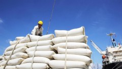 Vietnamese rice export showing impressively positive signs