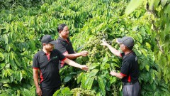 Vietnam promoting zero-emission economy