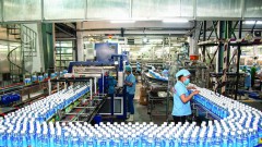 Enterprises actively prepare Tet goods