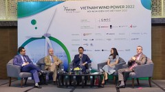 Vietnam has opportunity for energy transition towards green growth