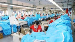 CPTPP still holds untapped potential for Vietnamese businesses