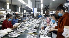 Vietnamese firms seek to tap benefits from EVFTA