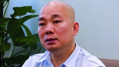 Failure to meet "green" standards, businesses may not be able to export goods