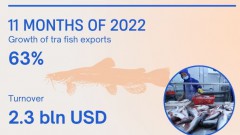 Tra fish exports post strongest growth among fishery products