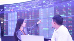 What the Vietnam stock market swings in 2022 tell us?