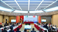 Promoting Vietnam-Nigeria Cooperation in Depth and Effectiveness