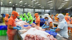 Seafood exports reach record $11b in 2022, challenges ahead