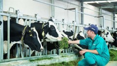 Livestock industry hopes difficulties will reduce in 2023