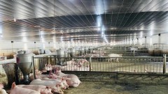 Bright outlook for livestock farming industry